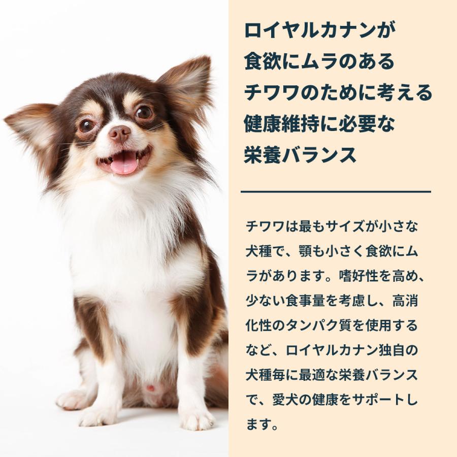 ロイヤルカナン（ROYAL CANIN） 犬 ドッグフード チワワ専用フード 成