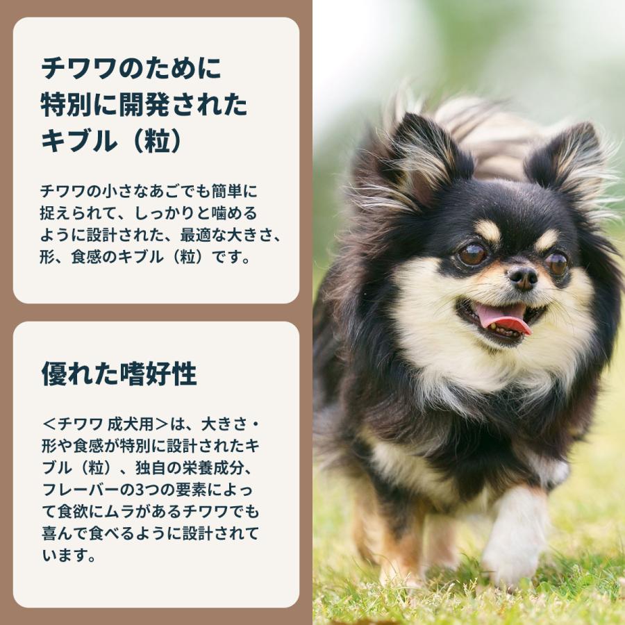 ロイヤルカナン（ROYAL CANIN） 犬 ドッグフード チワワ専用フード 成