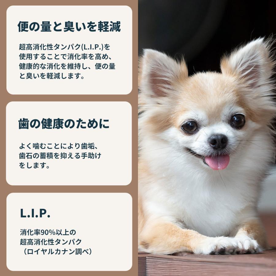 ロイヤルカナン（ROYAL CANIN） 犬 ドッグフード チワワ専用フード 成