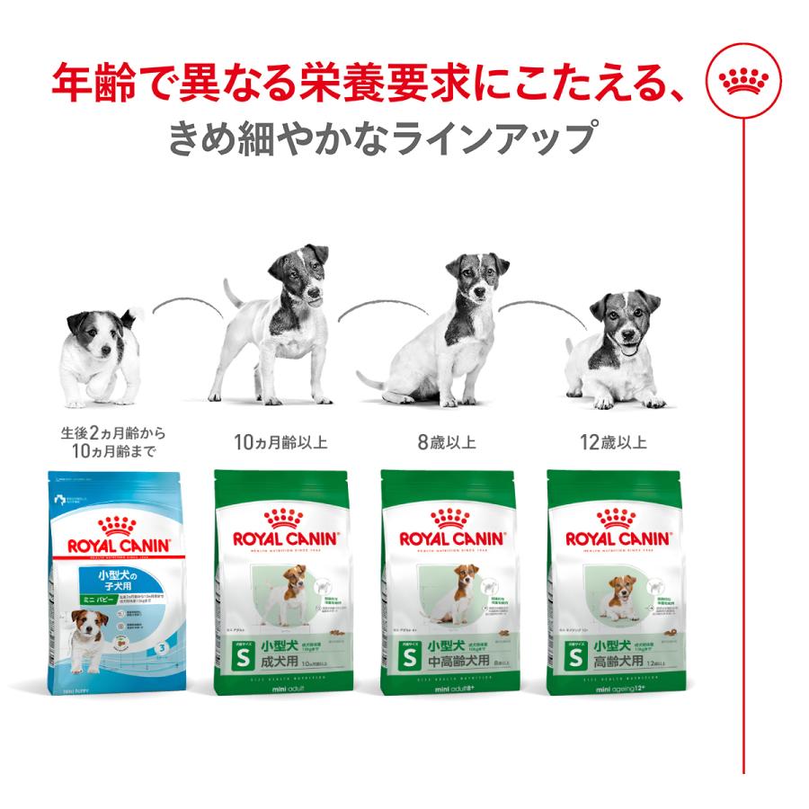 ロイヤルカナン（ROYAL CANIN） 犬 ドッグフード ミニ アダルト 800g