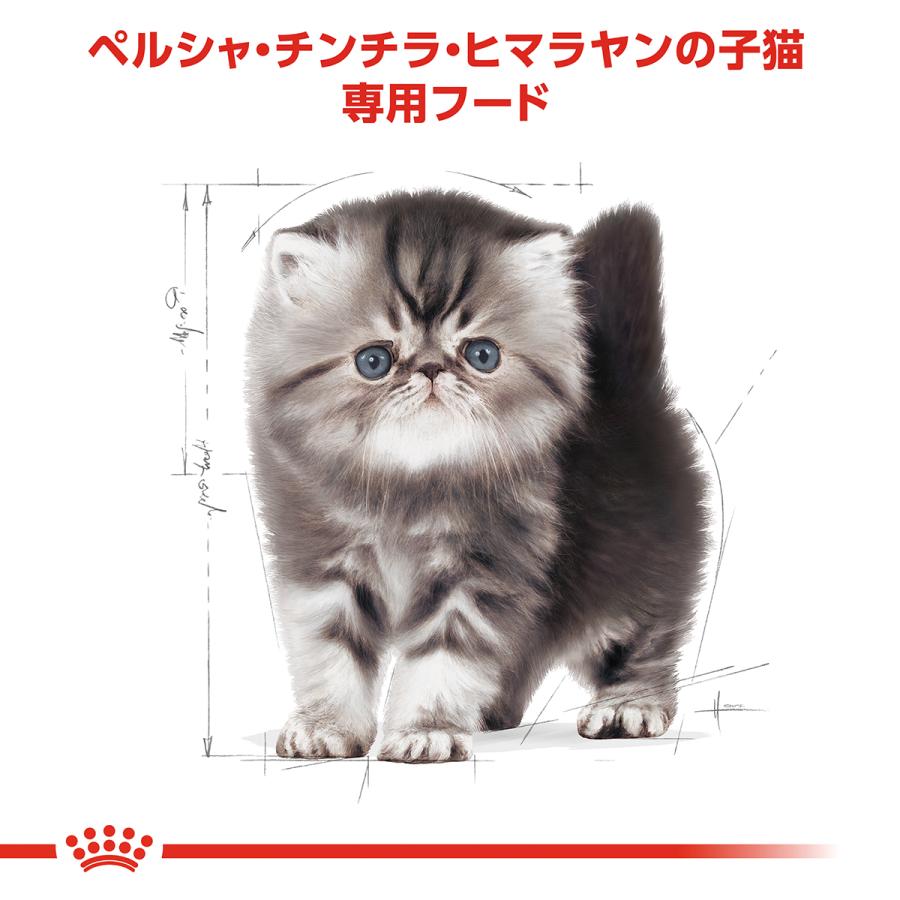 ロイヤルカナン（ROYAL CANIN） 猫 キャットフード ペルシャ チンチラ