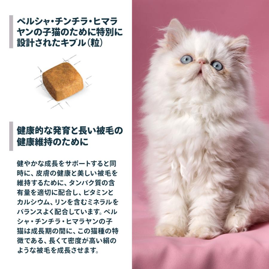 ロイヤルカナン（ROYAL CANIN） 猫 キャットフード ペルシャ チンチラ