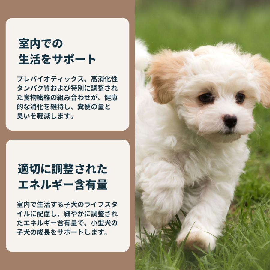 ロイヤルカナン（ROYAL CANIN） 犬 ドッグフード ミニ インドア パピー