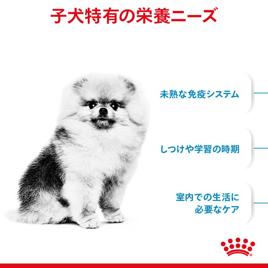  CANIN 小型犬の子犬用 ドライフード 4kg Royal canin