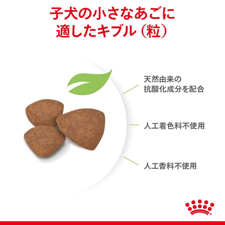 ロイヤルカナン（ROYAL CANIN） 犬 ドッグフード ミニ インドア パピー