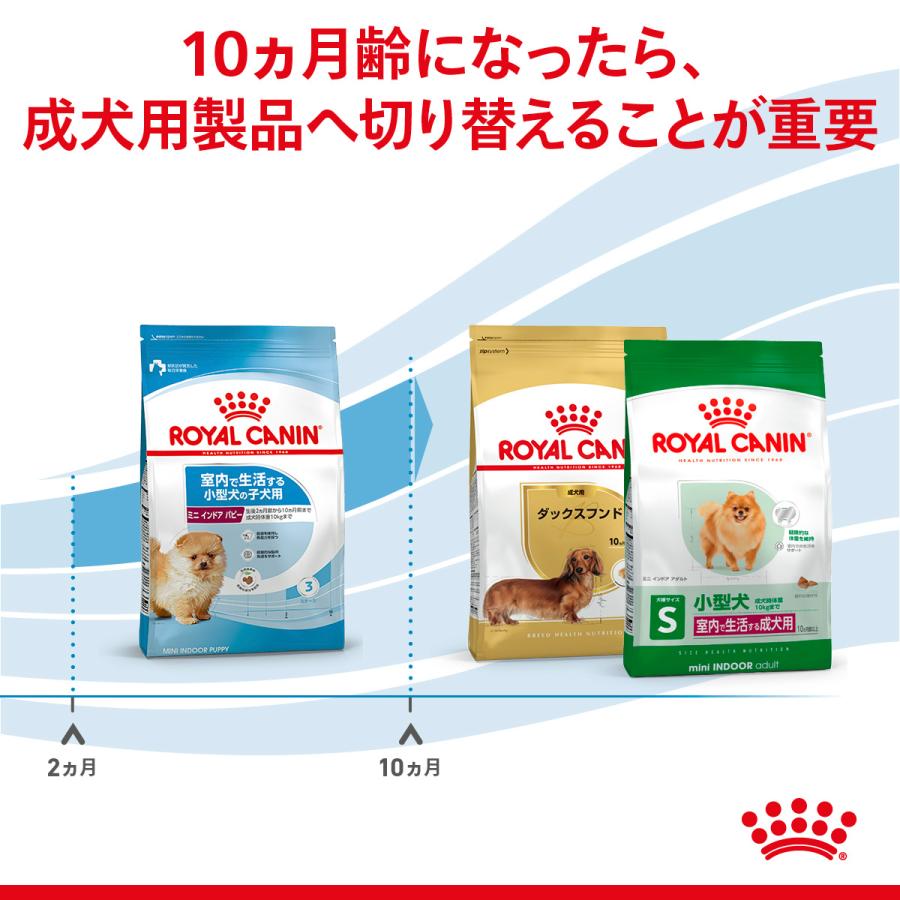 室内で生活する小型犬専用フード　子犬) 4kg(16kg) ロイヤルカナン（ROYAL CANIN） 犬 ドッグフード ミニ インドア パピー