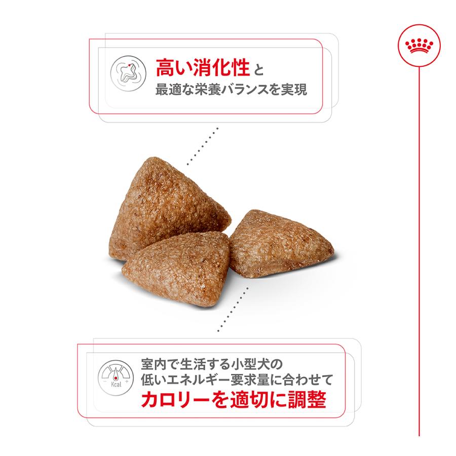 ロイヤルカナン ミニインドアアダルト 10kg プロフェッショナル