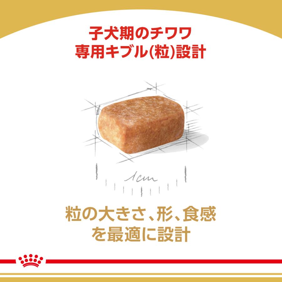 ロイヤルカナン（ROYAL CANIN） 犬 ドッグフード チワワ専用フード