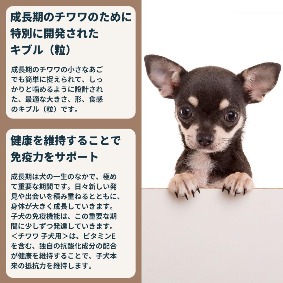 ロイヤルカナン（ROYAL CANIN） 犬 ドッグフード チワワ専用フード