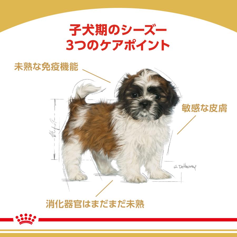ロイヤルカナン 犬 ドッグフード シーズー専用フード 子犬用 1.5kg×6個_1