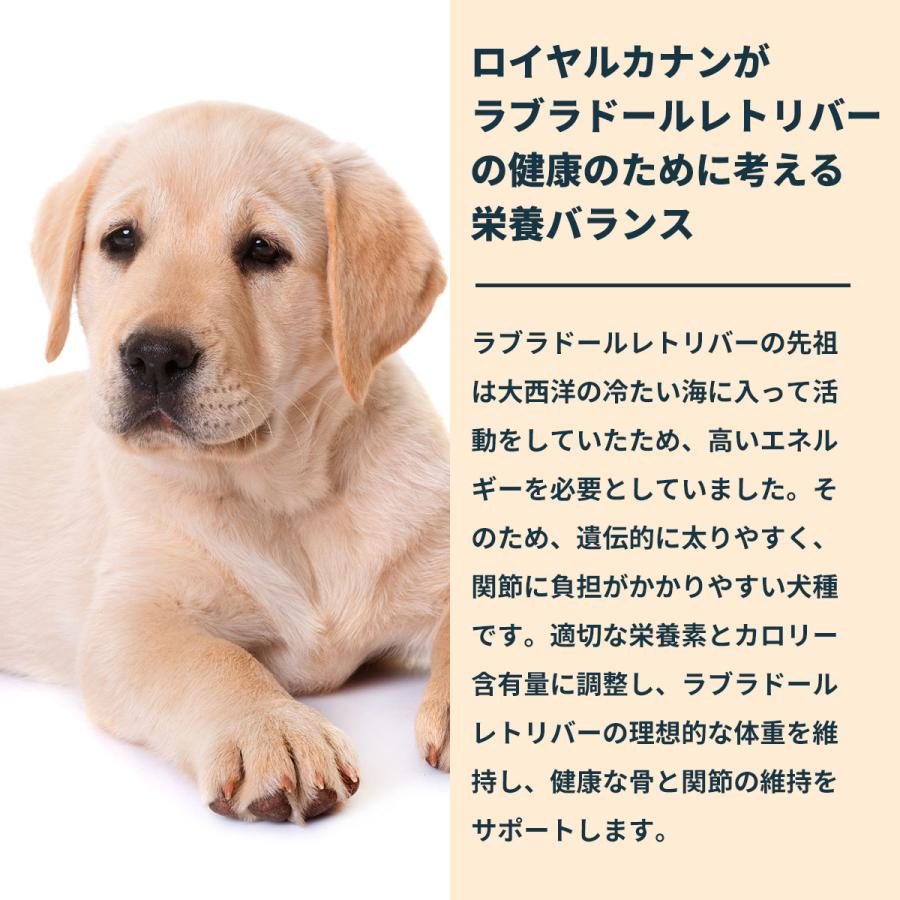 ロイヤルカナン（ROYAL CANIN） 犬 ドッグフード ラブラドール