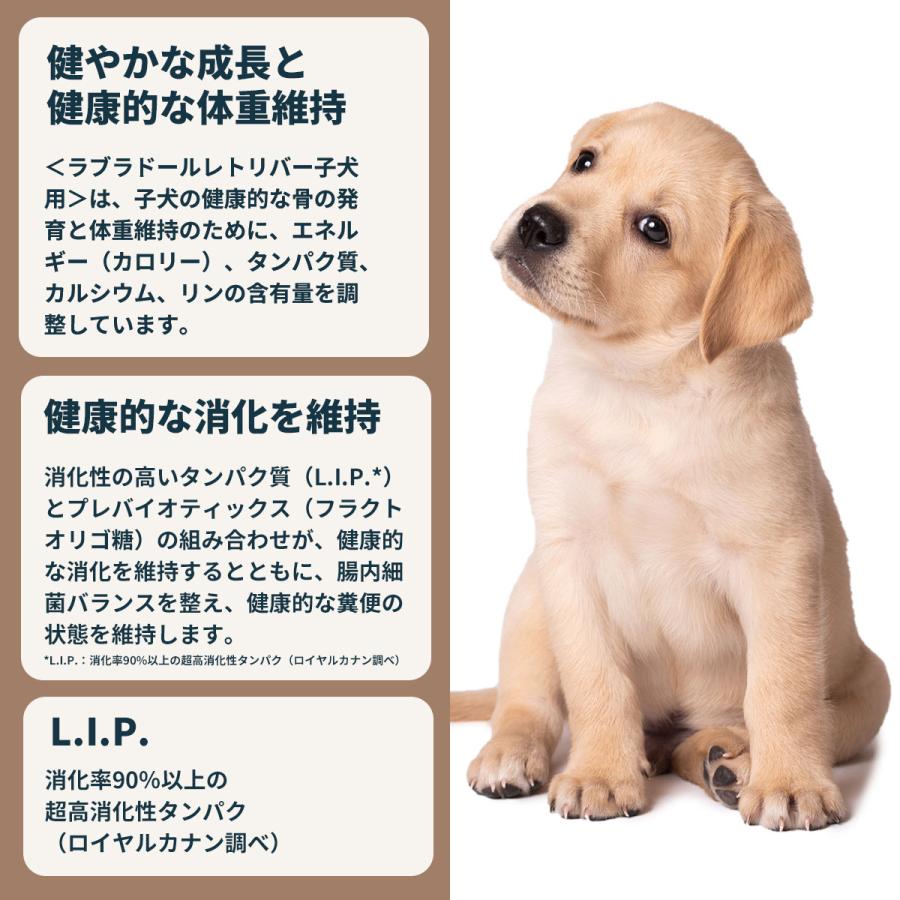 ロイヤルカナン ラブラドールレトリバー子犬用　１６キロ ロイヤルカナン（ROYAL CANIN） ラブラドールレトリバー 成犬〜高齢犬