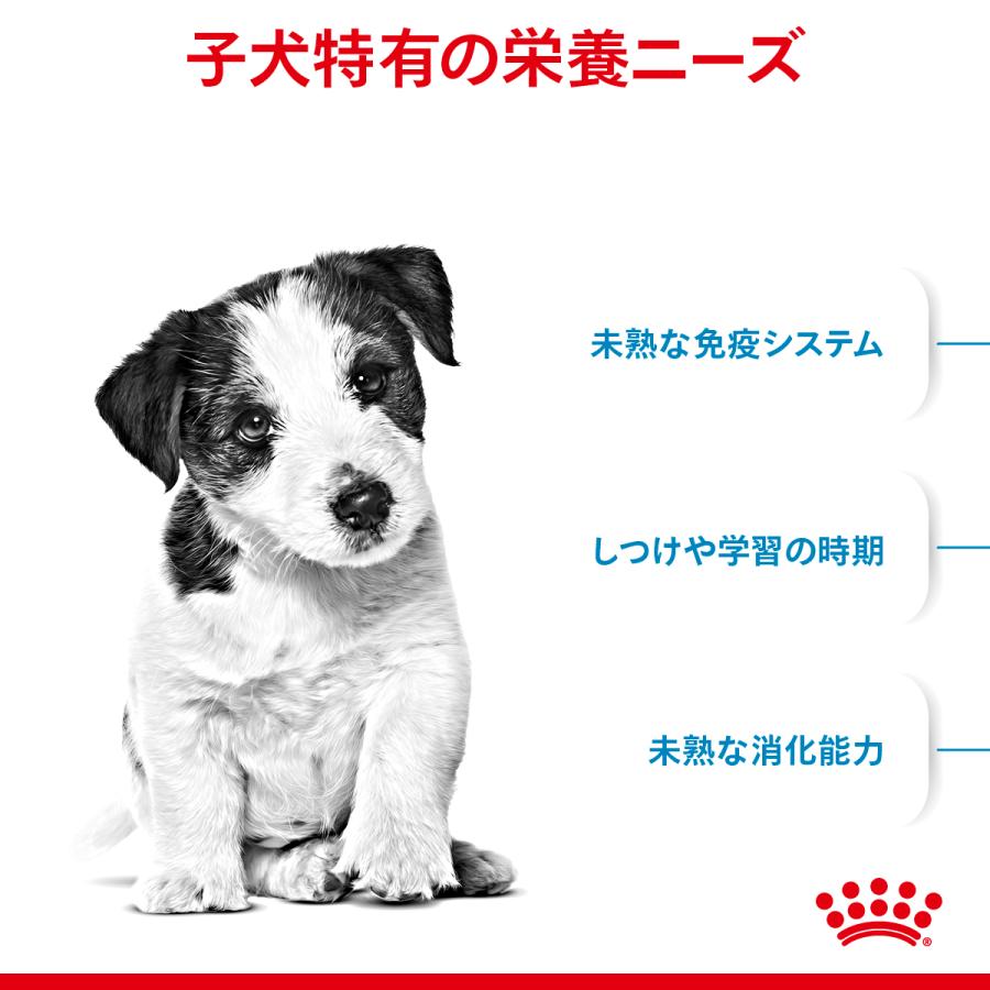 ロイヤルカナン（ROYAL CANIN） 犬 ドッグフード ミニ パピー 2kg 小型