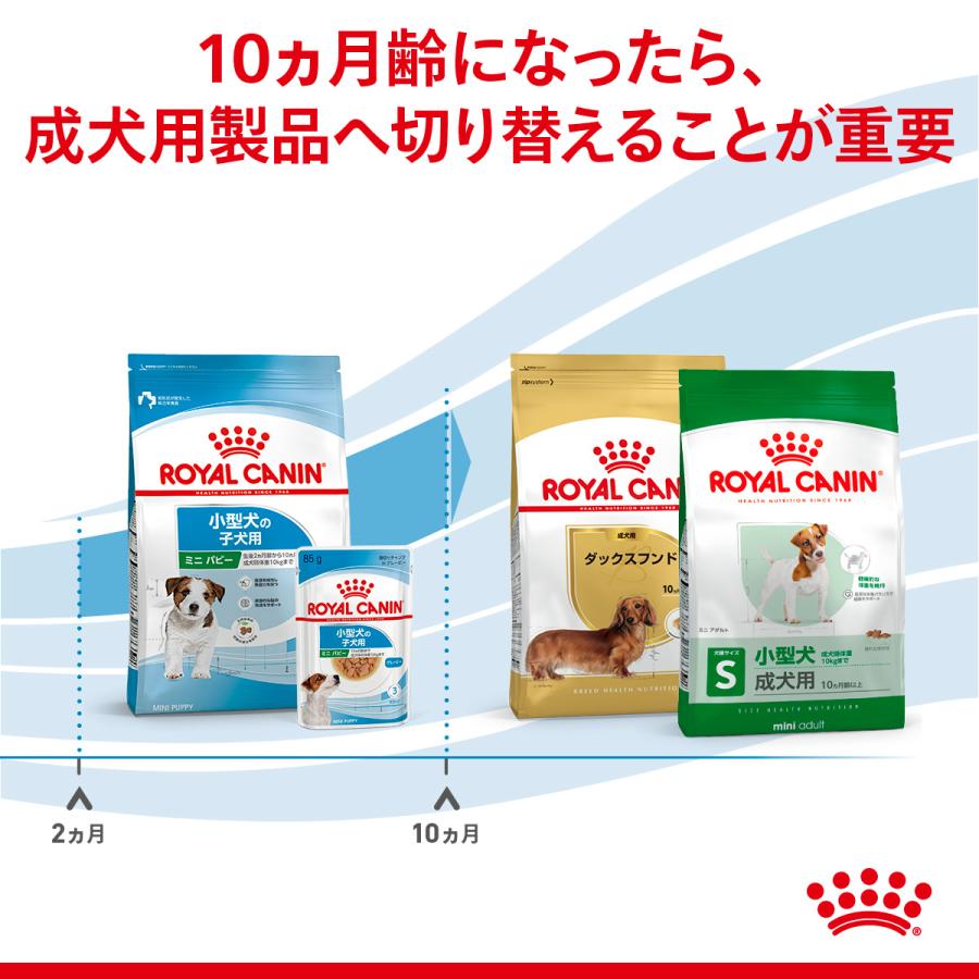 ロイヤルカナン（ROYAL CANIN） 犬 ドッグフード ミニ パピー 2kg 小型