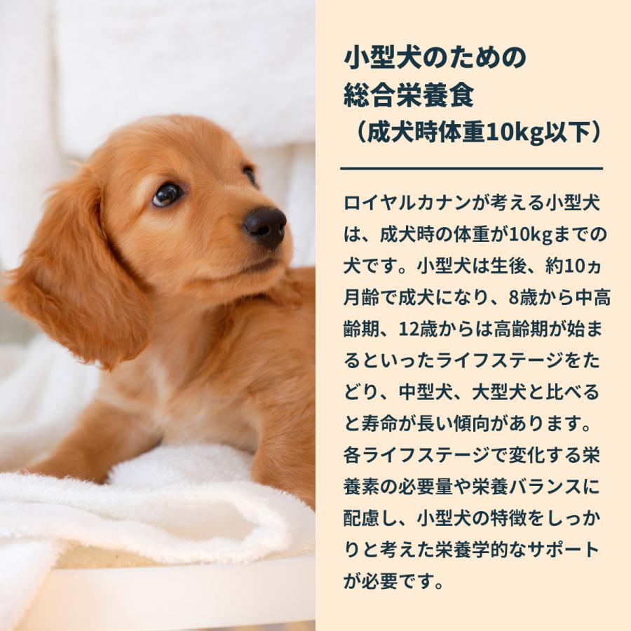ロイヤルカナン（ROYAL CANIN） 犬 ドッグフード ミニ パピー 2kg 小型