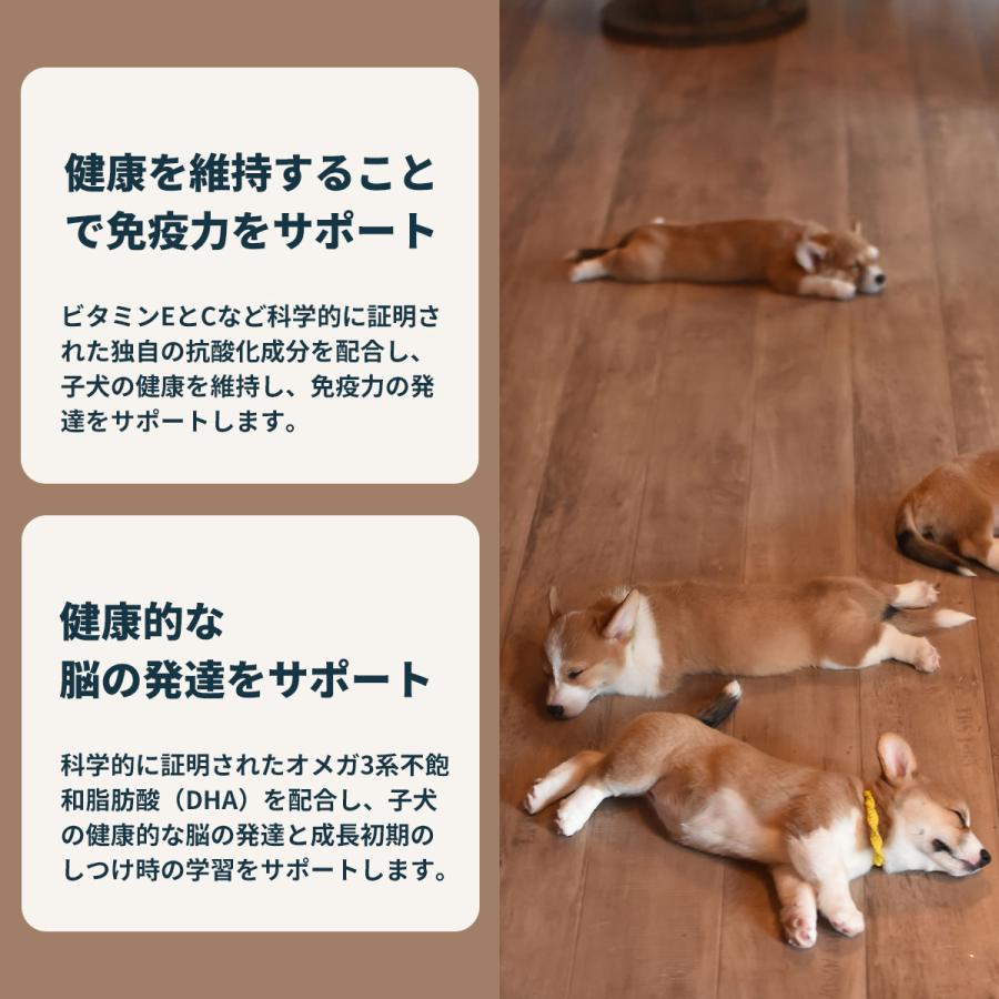 ロイヤルカナン（ROYAL CANIN） 犬 ドッグフード ミニ パピー 2kg 小型