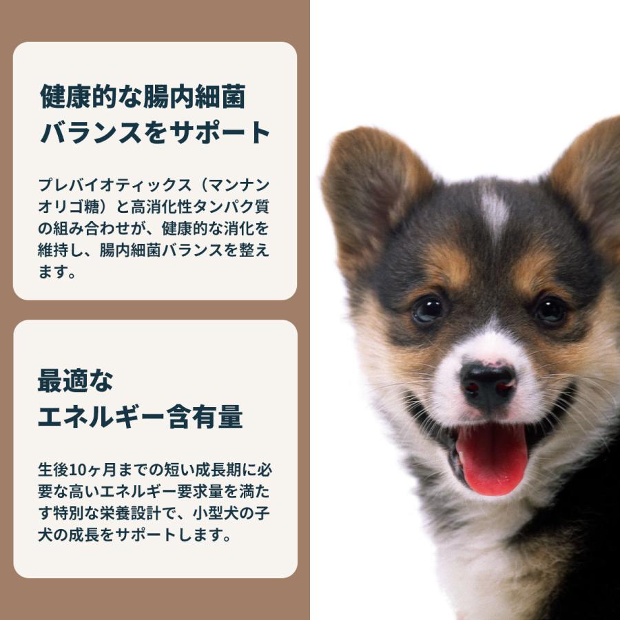 ロイヤルカナン（ROYAL CANIN） 犬 ドッグフード ミニ パピー 2kg 小型