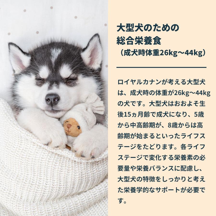 ロイヤルカナン（ROYAL CANIN） 犬 ドッグフード マキシ パピー 15kg