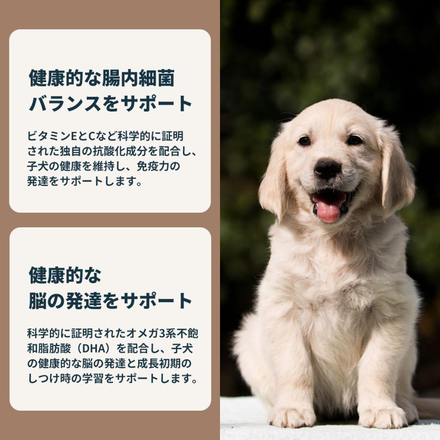 ロイヤルカナン（ROYAL CANIN） 犬 ドッグフード マキシ パピー 15kg