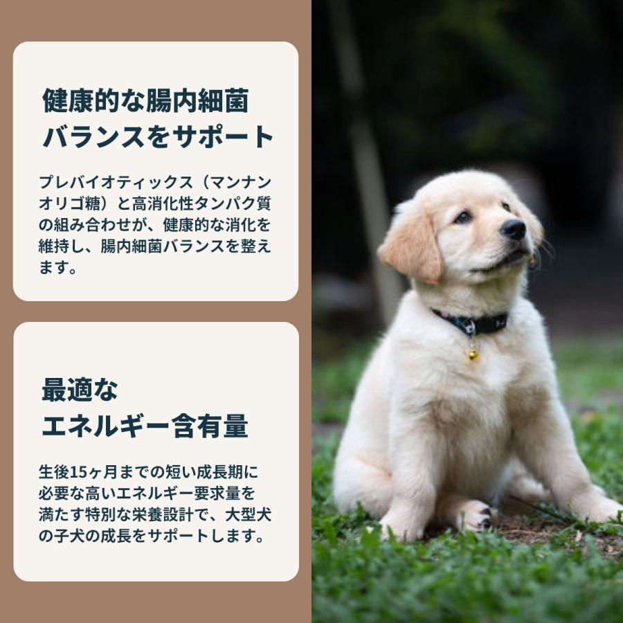 ロイヤルカナン（ROYAL CANIN） 犬 ドッグフード マキシ パピー 15kg