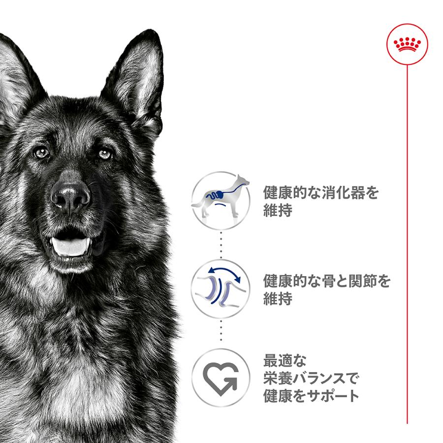 ロイヤルカナン（ROYAL CANIN） 犬 ドッグフード マキシ アダルト 15kg