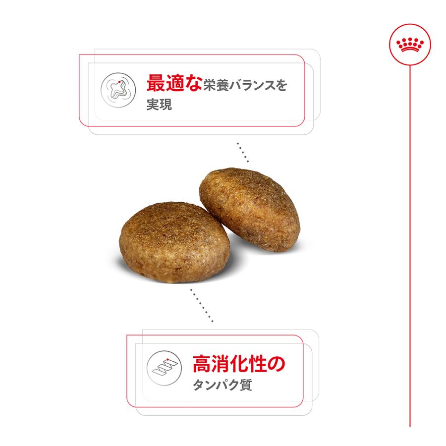 ロイヤルカナン（ROYAL CANIN） 犬 ドッグフード マキシ アダルト 15kg