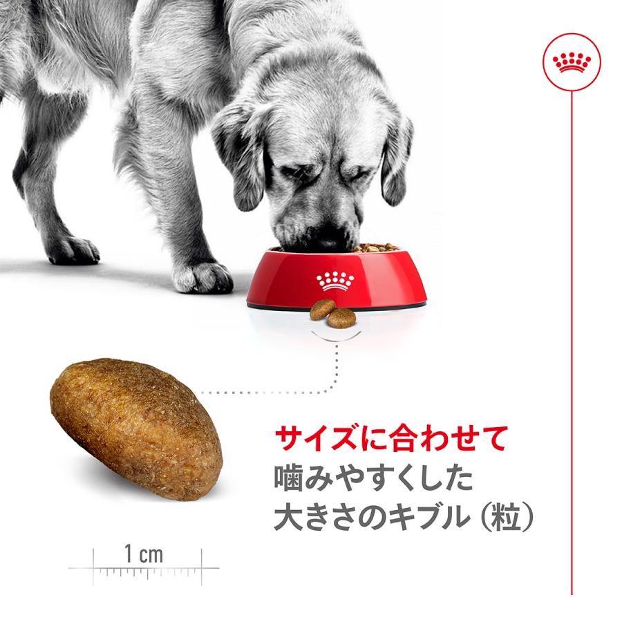 ロイヤルカナン（ROYAL CANIN） 犬 ドッグフード マキシ アダルト 15kg