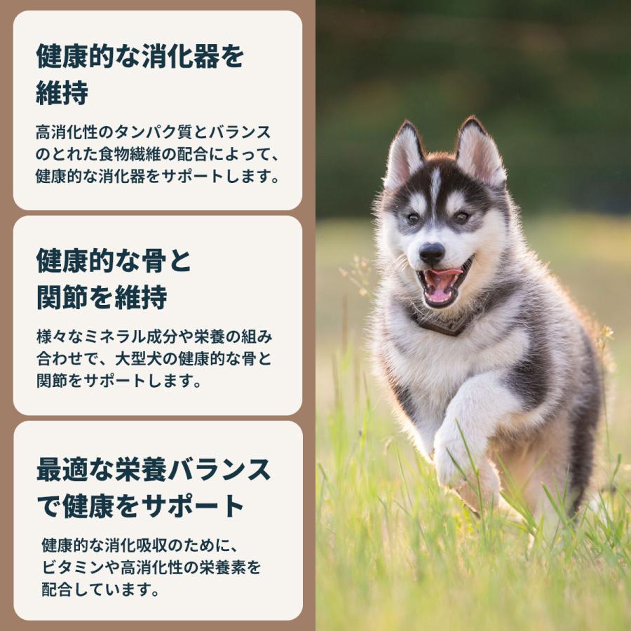 ロイヤルカナン（ROYAL CANIN） 犬 ドッグフード マキシ アダルト 15kg