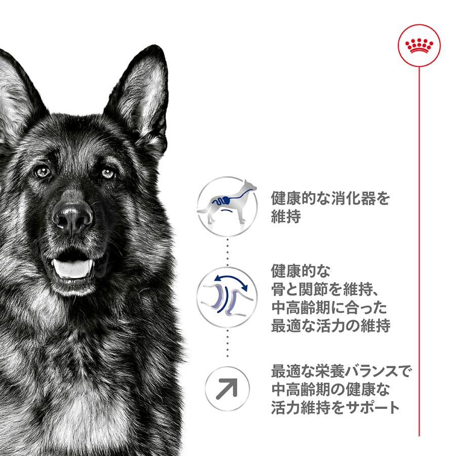 ロイヤルカナン（大型犬専用フード 高齢犬用）15kg ロイヤルカナン（ROYAL CANIN） 犬 ドッグフード マキシ アダルト 5＋