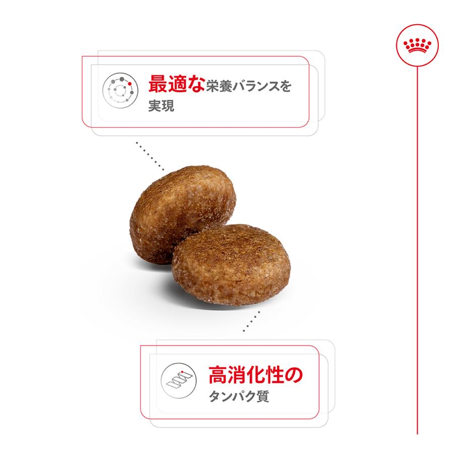 ロイヤルカナン（ROYAL CANIN） 犬 ドッグフード マキシ アダルト 5＋
