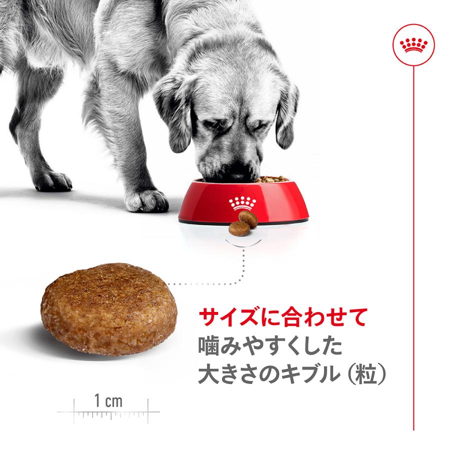 ロイヤルカナン（ROYAL CANIN） 犬 ドッグフード マキシ アダルト 5＋