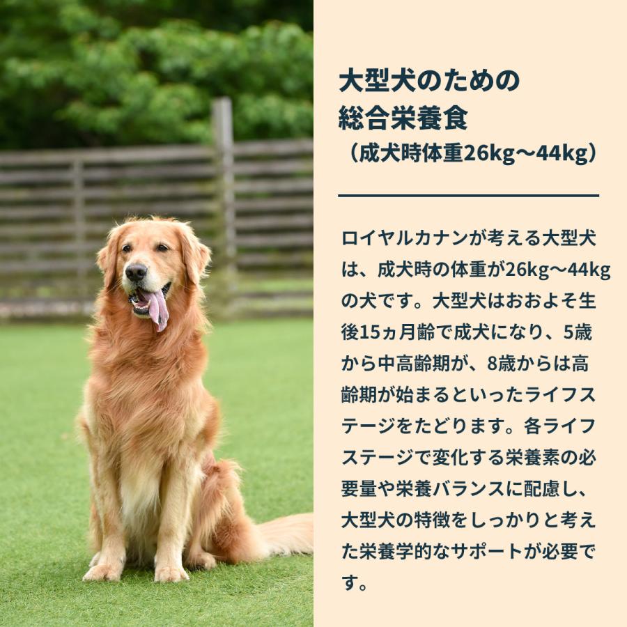 ロイヤルカナン（ROYAL CANIN） 犬 ドッグフード マキシ アダルト 5＋