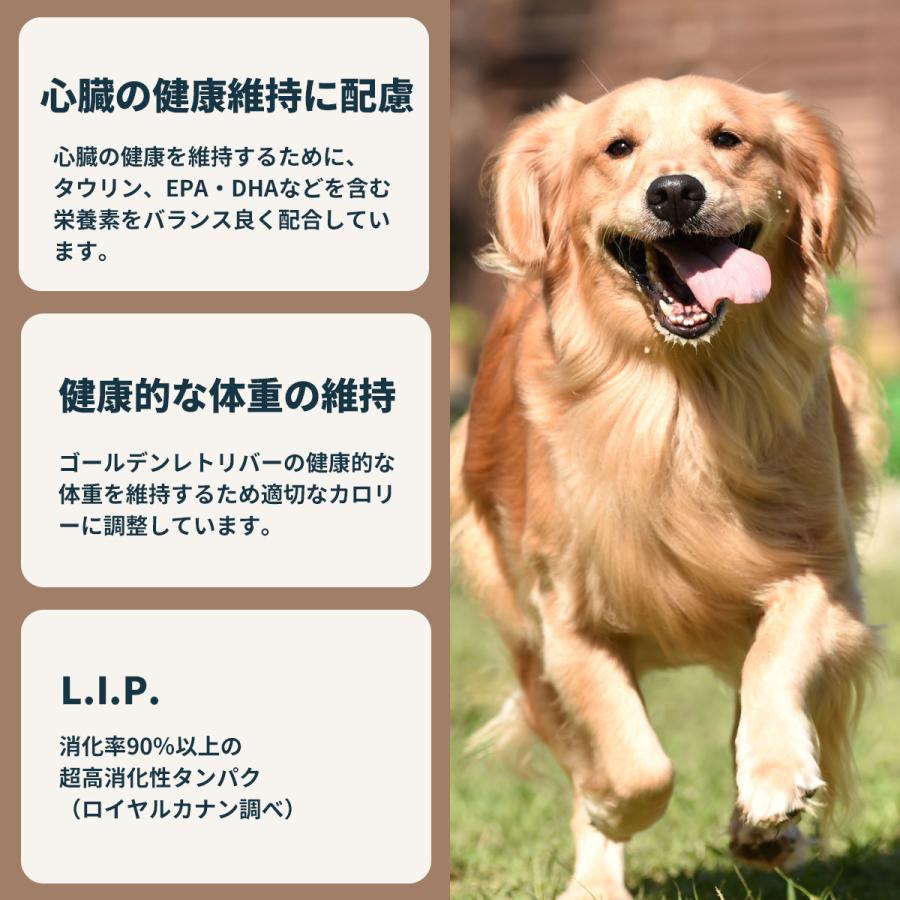 ロイヤルカナン（ROYAL CANIN） 犬 ドッグフード ゴールデンレトリバー