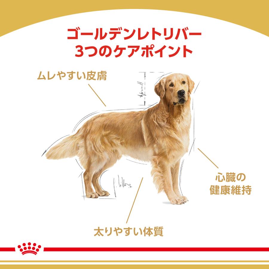 ロイヤルカナン（ROYAL CANIN） 犬 ドッグフード ゴールデンレトリバー