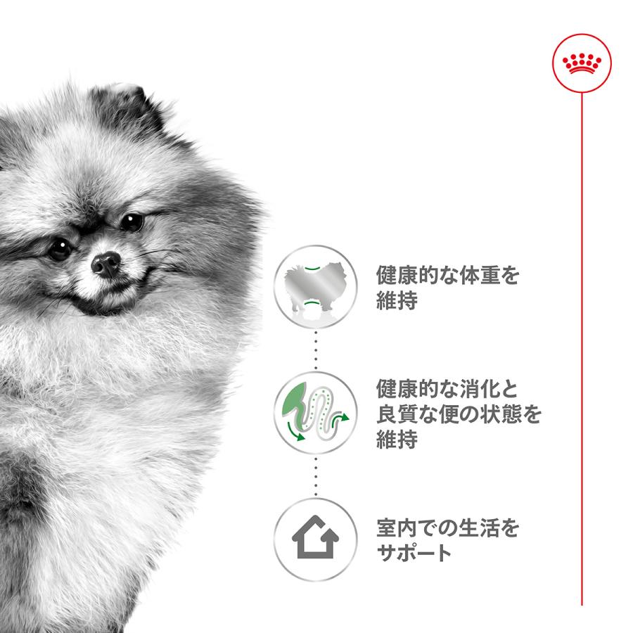 ロイヤルカナン 犬 ドッグフード ミニ インドア アダルト 2kg×6個 室内で生活する小型犬専用 成犬用
