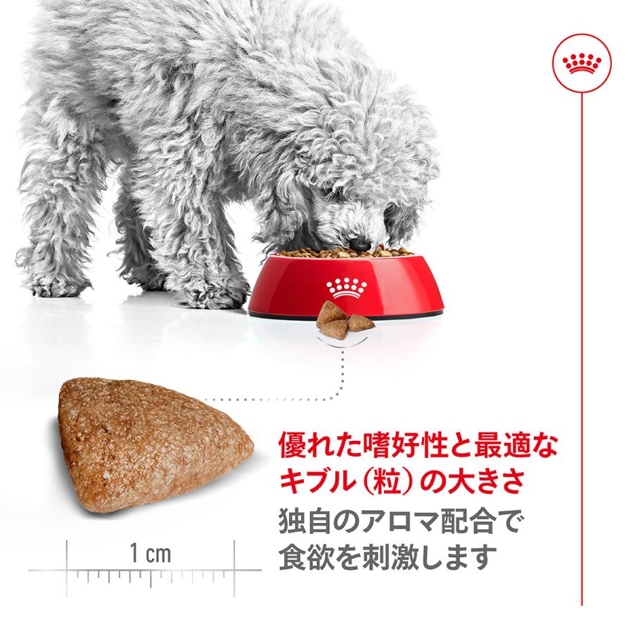 ロイヤルカナン 犬 ドッグフード ミニ インドア アダルト 2kg×6個 室内で生活する小型犬専用 成犬用
