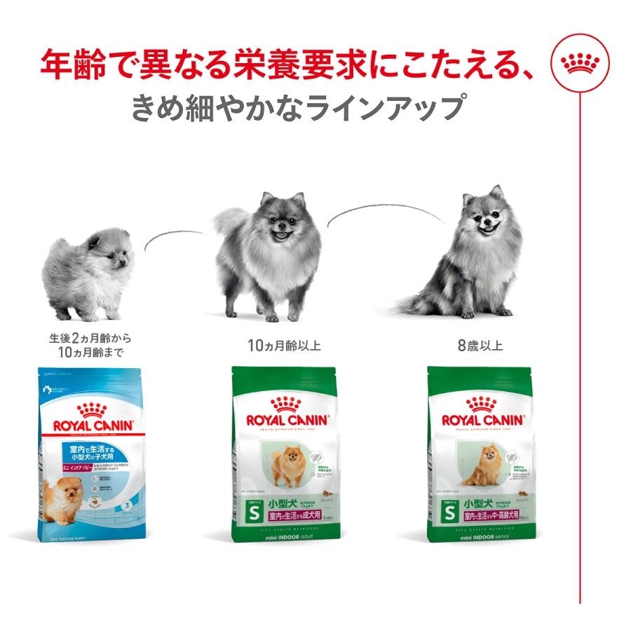 ロイヤルカナン 犬 ドッグフード ミニ インドア アダルト 2kg×6個 室内で生活する小型犬専用 成犬用