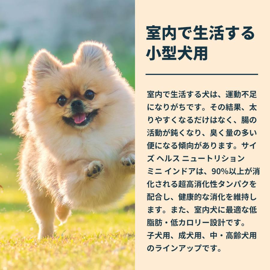 ロイヤルカナン 犬 ドッグフード ミニ インドア アダルト 2kg×6個 室内で生活する小型犬専用 成犬用