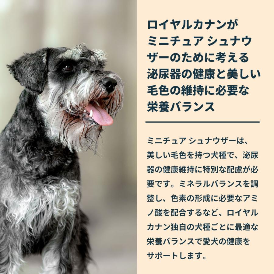 ロイヤルカナン（ROYAL CANIN） 犬 ドッグフード ミニチュア