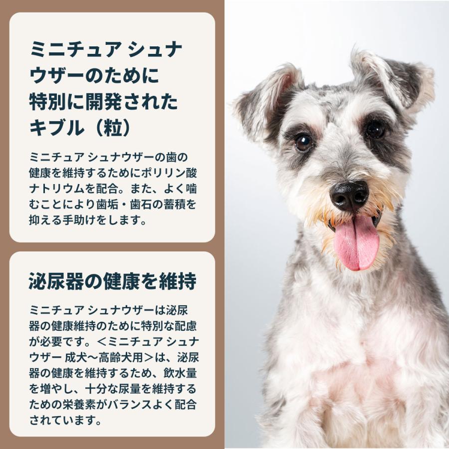 ロイヤルカナン（ROYAL CANIN） 犬 ドッグフード ミニチュア