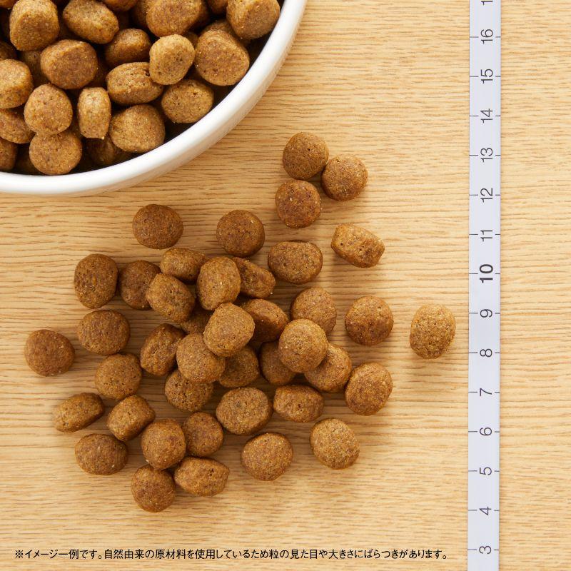 ニュートロ ナチュラルチョイス ドッグフード ラム&玄米 中型犬 ニュートロ ナチュラルチョイス ドッグフード ラム&玄米 中型犬