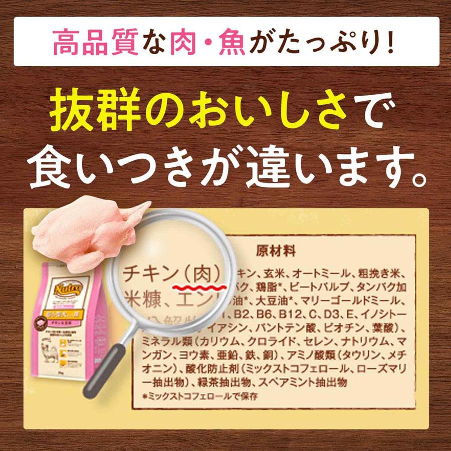 エントリーで+4倍！5月15日！ニュートロ ナチュラルチョイス ドッグフード ラム＆玄米 中型犬〜大型犬用 成犬用 13.5kg｜koji｜06