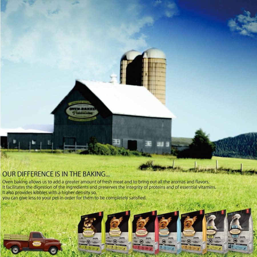 オーブンベイクド トラディション ドッグフード シニア＆ウエイトマネージメント 大粒 11.34kg トラディション ドッグフード シニア＆ウエイトマネージメント 大粒