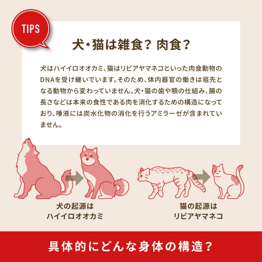 エントリーで+4倍！本日限定！アカナ ACANA キャットフード ワイルドプレイリーキャット 全猫種 全年齢 穀物不使用 1.8kg 正規品 無添加｜koji｜05