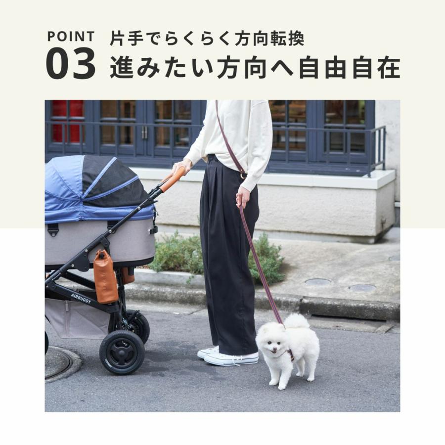 AIRBUGGY（エアバギー） フォー ペット ドーム3 セット ラージ アース