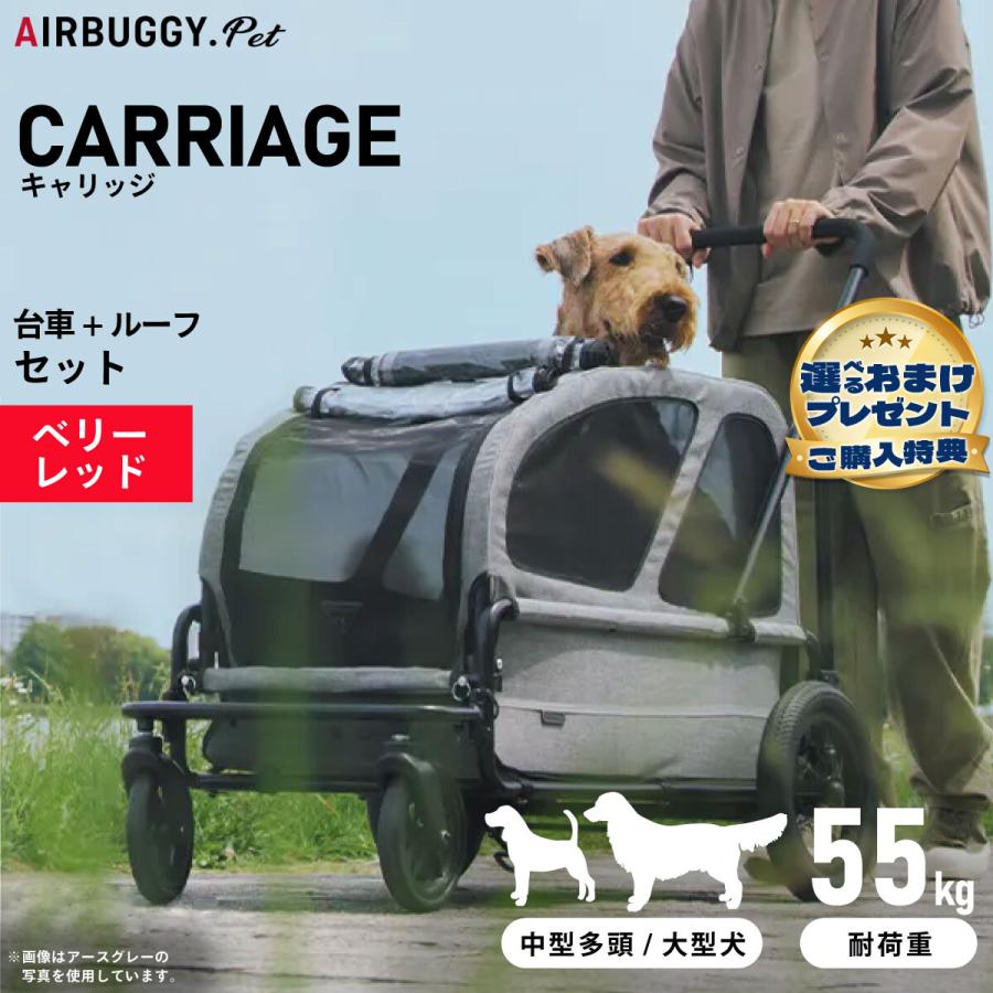 AIRBUGGY（エアバギー） フォー ペット キャリッジ セット（台車＋ 