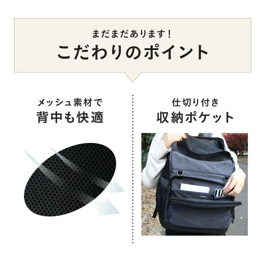 AIRBUGGY（エアバギー） フォー ペット airbuggy for pet 3ウェイ