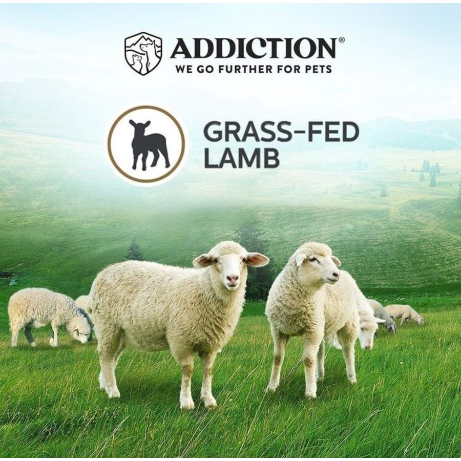アディクション ル・ラム グレインフリードッグフード （800gx6袋
