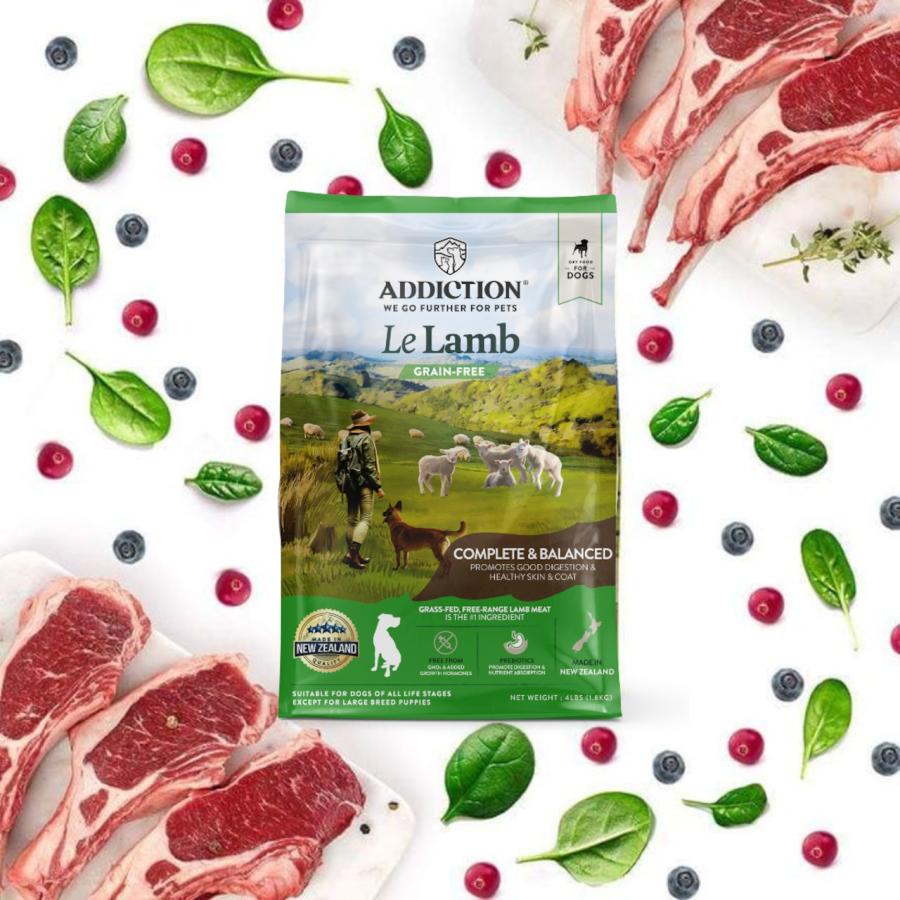 アディクション ADDICTION ドッグフード ル ラム グレインフリー 9kg