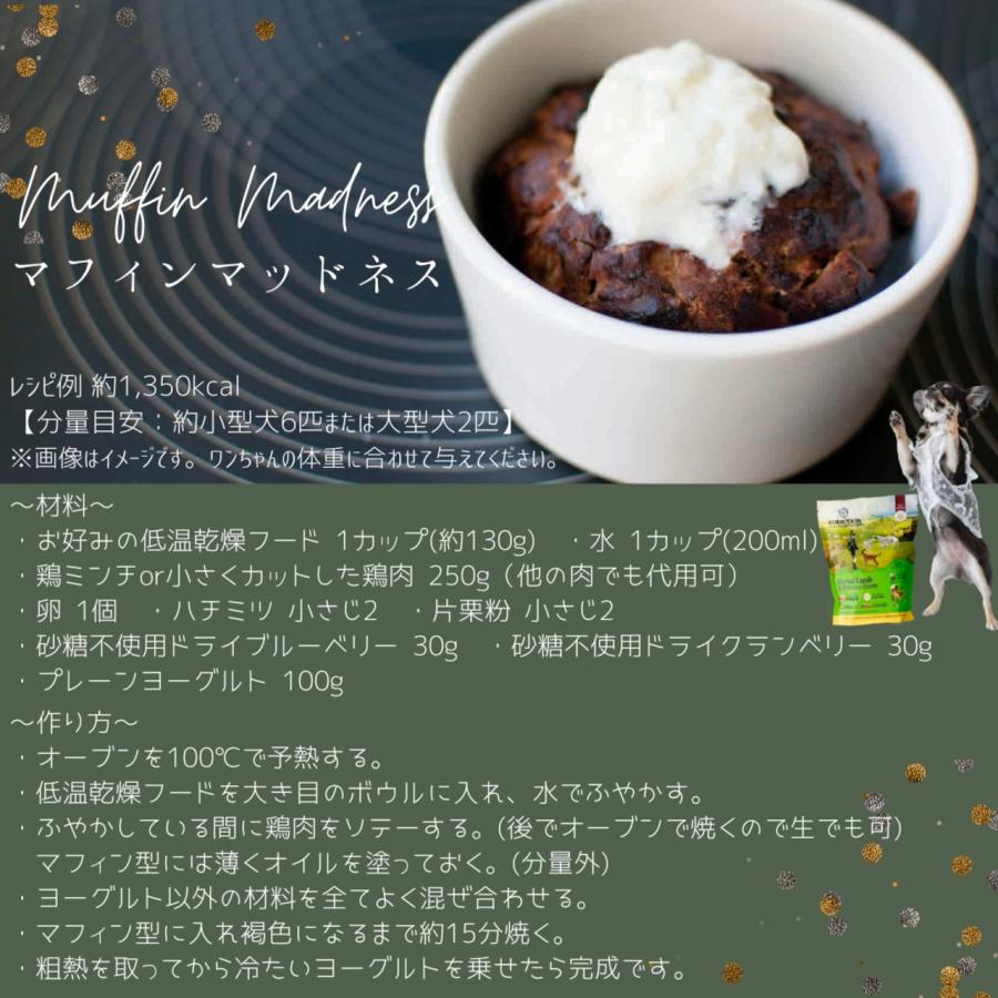 ADDICTION 低温乾燥 ベニソン&クランベリーディナー 910g ×2